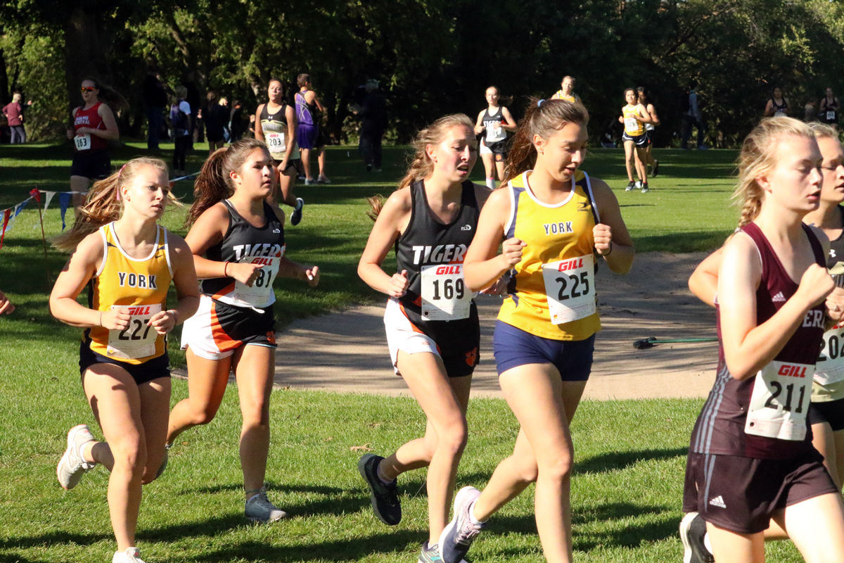 York Cross Country Invite (11).jpg